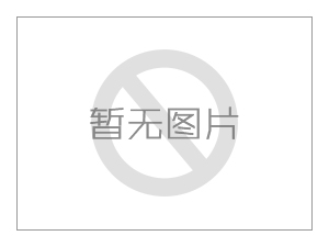 昆山市巴城镇党委石建刚书记一行莅临奥兰克泵业走访调研