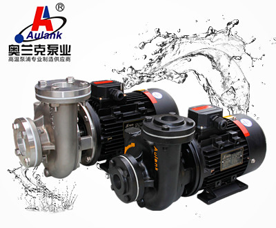 RGP 热油循环泵2.jpg