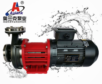 MDZ高温热水泵 2.jpg